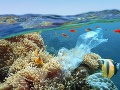 Ďalší krok pre zdravšiu planétu: Ministri G20 prijali rámec proti plastom v oceánoch