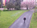Dámy, pozor! VIDEO V Košiciach vyčíňa sexuálny predátor, zaútočil v parku