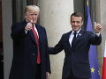 Znamená to niečo? Strom symbolizujúci priateľstvo Trumpa s Macronom vyschol