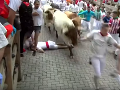 Krvavý festival: Beh býkov Pamplonou je len začiatok, VIDEO prvé mrazivé zábery