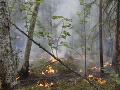 Katastrofa nekončí: Na Sibíri Katastrofa nekončí: Na Sibíri