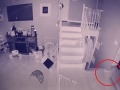 VIDEO z bezpečnostnej kamery odhalilo to, čo majiteľ domu nikdy nechcel vidieť: Čo to, preboha, je?