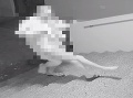 Bratislavčan Peter mal na mladej žene páchať zverstvá: FOTO Už čelí obvineniu