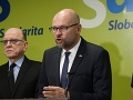 Úlohu odvolacích disciplinárnych senátov by mal podľa SaS prevziať Ústavný súd