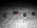 Poľovník Ján sa podelil o hrôzostrašný zážitok na Liptove: VIDEO Toľko medveďov pokope ešte nevidel