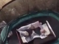 Z VIDEA ľuďom naskakujú zimomriavky: Chlapec skáče na trampolíne, ale čo sa deje vľavo!