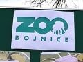 MIMORIADNE V zoologickej záhrade v Bojniciach potvrdili vtáčiu chrípku