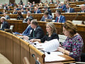 Diskusia k potratom ukončila deň: Smolíková upustila od niekoľkých zmien