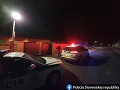 FOTO Policajti NAKA zasahujú pri akcii PANDA: Hrozila až 12-miliónová škoda
