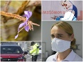 KORONAVÍRUS Blíži sa Veľká noc, aká tu ešte nebola! Analytička si posvietila aj na naše nákupy, tie čísla šokujú