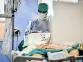 Na KORONAVÍRUS budú testovať aj veterinári: Vo Zvolene urobia 200 až 300 testov denne