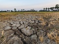 Odborníci varujú, teplo pácha na Slovensku extrémne škody: Sucho je takmer na celom území