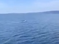 Neskutočné VIDEO z Jadranu: Keby tam boli turisti, ostali by v nemom úžase!