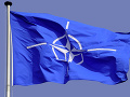 NATO NATO