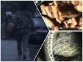 Šokujúce VIDEO policajta: V Dunajskej Strede prichytil pomstychtivú dôchodkyňu, psíčkarom bude do plaču