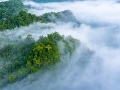 Svetová meteorologická organizácia varuje: Rekordné hodnoty v súvislosti s klimatickou zmenou!