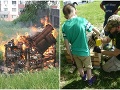 Neskutočné barbarstvo! FOTO Hmyzí hotel v areáli bratislavskej školy stihol krutý osud