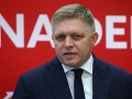 Dnes nie sú žiadne dôvody, aby sa uvažovalo o výmene komisárky pre deti, tvrdí Fico