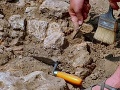 Pri Skalici prerušil stavbu rodinných domov ohromujúci objav