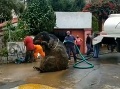 VIDEO Robotníci pri čistení VIDEO Robotníci pri čistení