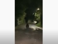 Štátna ochrana prírody reaguje na medveďa v Sabinove: VIDEO Jeho výskyt v meste bol ojedinelý