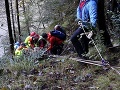 FOTO Išiel do lesa na huby, domov sa už nevráti: Hrôzostrašná smrť muža, 50-metrový pád terénom