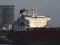 Britské komando zasahovalo na Britské komando zasahovalo na