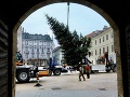 FOTO Bratislava má už tiež svoj tohtoročný vianočný stromček: Pozrite na toho krásavca