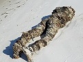 Dobrovoľníčka čistila pláž, keď pred sebou zbadala totálnu hrôzu na FOTO