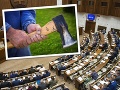 AKTUÁLNE Do parlamentu vtrhol muž so sekerou! Útok ukončil zásah bezpečnostnej služby