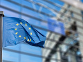 Európsky súd pre ľudské práva vlani vybavoval takmer tristo sťažností voči Slovensku