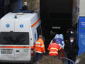 KORONAVÍRUS Situácia v českých KORONAVÍRUS Situácia v českých