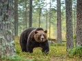 Na skupinu turistov v Na skupinu turistov v