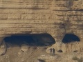 VIDEO Izraelskí archeológovia narazili v Jaskyni hrôz na ohromujúci objav