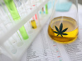 Štát New York odsúhlasil návrh zákona o legalizácii rekreačnej marihuany