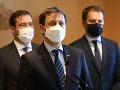 VLÁDNA KRÍZA Ďalší konflikt? Matovič nemusí byť jediný problém: SaS sa bráni, Remišová nás podrazila