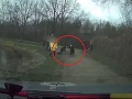 Muž (43) si bol zabehať pri rybníku: Zrazu sa zvalil na zem! Strhol sa boj o jeho život na VIDEU!