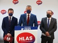 Opozícia má výhrady voči plánu obnovy: Absentujú mnohé oblasti, napríklad agrosektor a kultúra