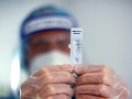 Vedci prišli na netradičný Vedci prišli na netradičný