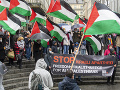 propalestínsky protest propalestínsky protest