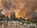 Lesný požiar v turistickej destinácii: Museli evakuovať skupinku dovolenkárov