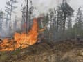 Greenpeace bije na poplach: Požiare v Rusku spálili oblasti s veľkosťou polovice rozlohy Nemecka