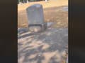 VIDEO Desivý objav v starom hrobe: Muž (37) ostal v šoku, keď videl, čo z neho trčí