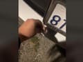 VIDEO Šokujúci objav na aute: Dievčina sa až triasla z toho, čo objavila za svojou ŠPZ-kou