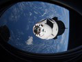 NASA poverila tri spoločnosti NASA poverila tri spoločnosti