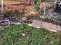 Pri tragickej nehode v obci Dolné Saliby zahynul 73-ročný cyklista