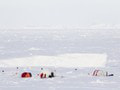 Bombastický objav vedcov: Na Antarktíde náhodou narazili na vzorky, ktoré môžu objasniť pôvod pandémie