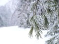 Meteorológovia upozorňujú na sobotňajšie sneženie na severe Slovenska