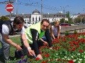 Už aj politici žijú hokejom: Frešo sadil kvety vo farbách Slovenska