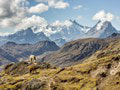 Desivé odhalenie v Andách: To, čo sa stalo za posledných 30 rokov, nemá obdobu